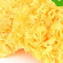 은이수입 이미지