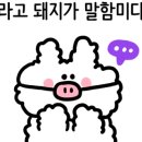 새당골