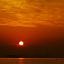 나로도바다 이미지