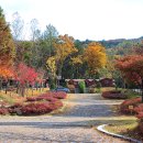 울산EDA승마장 티스토리
