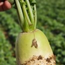 농소1동 주민자치 사회적협동조합 이미지