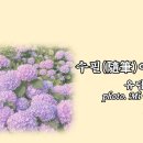 수필隨筆이란 말, 유담 이미지