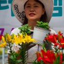 춘식농장 이미지