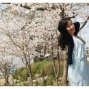 꽃내음가득 이미지