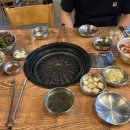 새마을식당영덕강구점