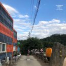 한탄강소나무캠핑 | [연천] 한탄강소나무캠핑장 후기