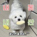 통수산 미더덕회 후기 / 내돈내산