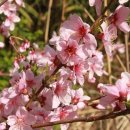 풍암한방병원 이미지