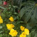 접도가든 이미지