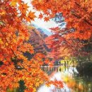 벨톤보청기 이미지