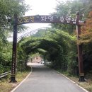 오도산자연휴양림(합천) 이미지