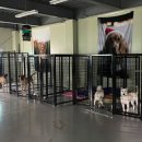 원브리스 이미지