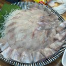 통큰도매횟집 | “통큰도매횟집” 김해 양,가격,질 다 잡은 1등맛집