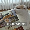 31140-5-75-6 | 아카나 하이프로틴 사료, 동물성 원료 75% 고단백 하이프로틴 고양이 사료