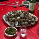 꼬막꼬막 이미지