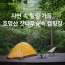 호명산잣나무숲캠핑장 | 호명산 잣나무숲속 캠핑장, 명당 데크, 시설 소개