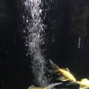 우형목장 이미지