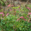 성지 당구장 이미지