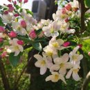 한옥민박사계절 이미지