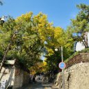 카페 다온 이미지