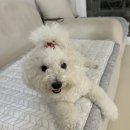 라성광고 이미지