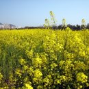 길조 약국 이미지