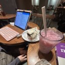 더시락 | 바람아 내게 봄을