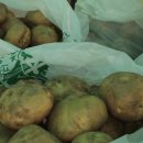 보강천 체육공원 이미지