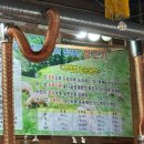 야래향 | [포항 맛집] 야래향 문덕 양꼬치 맛집 내돈내산 후기 회식장소 추천