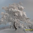 꿈의궁전 이미지