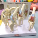 영광동물병원 이미지