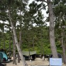 오토맨샵 | 7월 삼척 장호비치 캠핑장 후기:: 바다 바로앞, 프라이빗 명당 D9 사이트와 완벽한 관리상태에 감탄했어요!