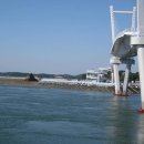 백사장어시장 이미지