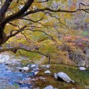 가야권역 소리마실 영농조합법인 | [경상남도 합천군] 홍류동계곡
