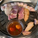해변의돼지