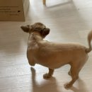 율곡마을주공2단지임대아파트 | 대구 달서구 용한점집 신점 잘 보는 곳 N번째 방문 중인 방울동자 후기