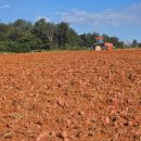 해찬농장 이미지