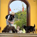 모닝마트 앞 | [푸꾸옥 7명 대가족여행] #1 푸꾸옥 얼리모닝투어 내돈내산 후기(11월 푸꾸옥 날씨, 입국심사, 환전)