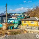 단성조명
