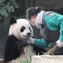 망원2동 미원2차아파트 (관리사무실 앞) | 으믐, 망원동 브런치 카페 아뜰이에 르 플리, 롯데리아 나폴리맛피아 모짜렐라 토마토 바질 버거 후기🍔)