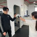 동탄센트럴복싱짐 | 화성복식장 동탄센트럴복싱짐 후기, 운동 재미 다시 찾은 리얼 경험담
