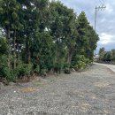 사선농장 이미지