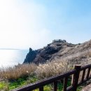 돌고래민박 이미지