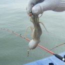 노은민박 이미지