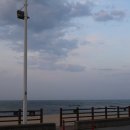 영진파스타 이미지