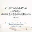 루터, 교회가 세상에서 고난을 당하는 이유 이미지