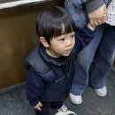 롤링힐스 호텔 | (서울근교1시간) 아이랑 가기 좋은 호텔 '화성 롤링힐스호텔' 후기♥