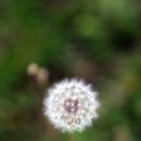 베리온리조트2 이미지