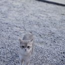 운정목장 이미지