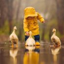 위촌리강릉하우스 이미지